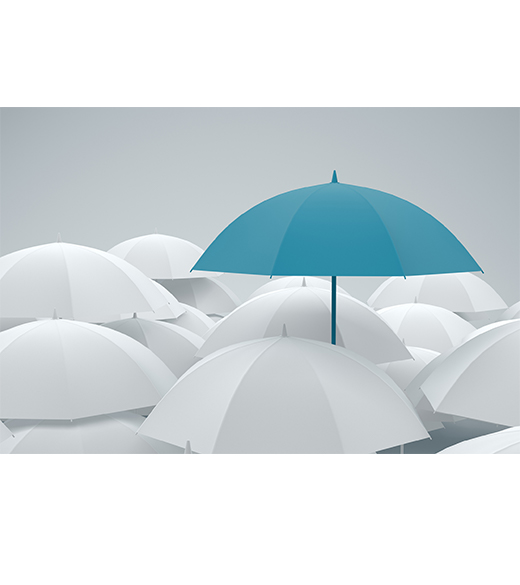 What to Consider Before Purchasing High Net Worth Insurance