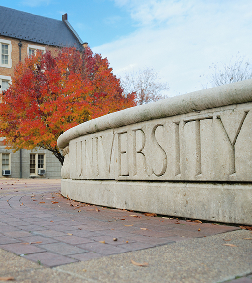 How to Help Your Alma Mater during the Pandemic